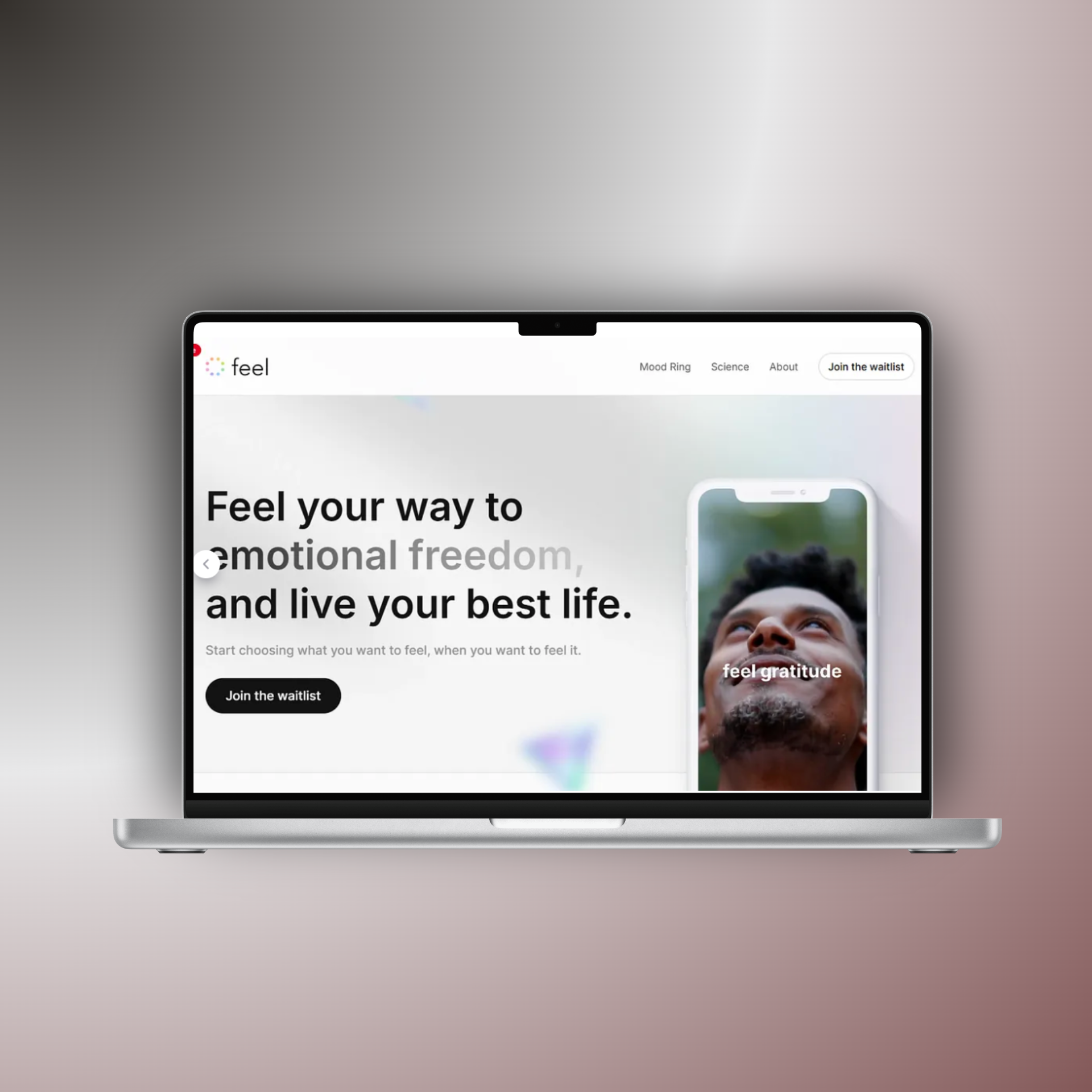 Personal Portfolio Images